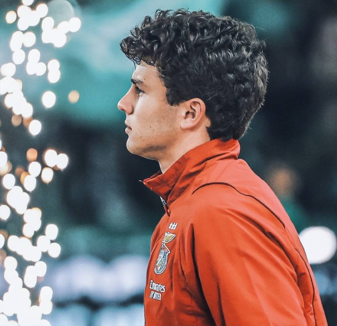 包含阿贾克斯新星崭露头角，荷甲球队风头无两的词条