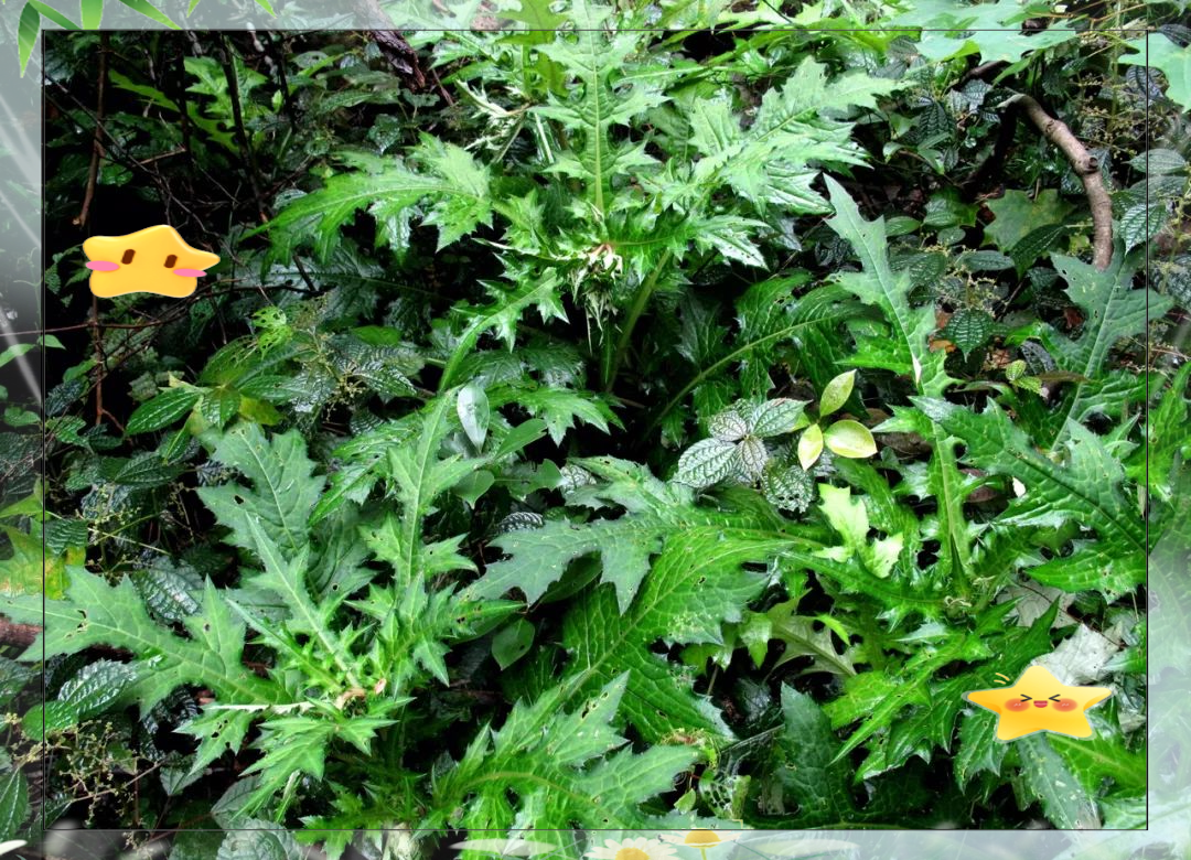 三亿体育体育娱乐-九死一生，冠军收获丰硕果实的简单介绍